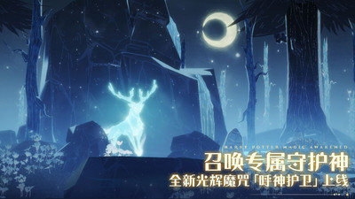 哈利波特魔法觉醒国际服