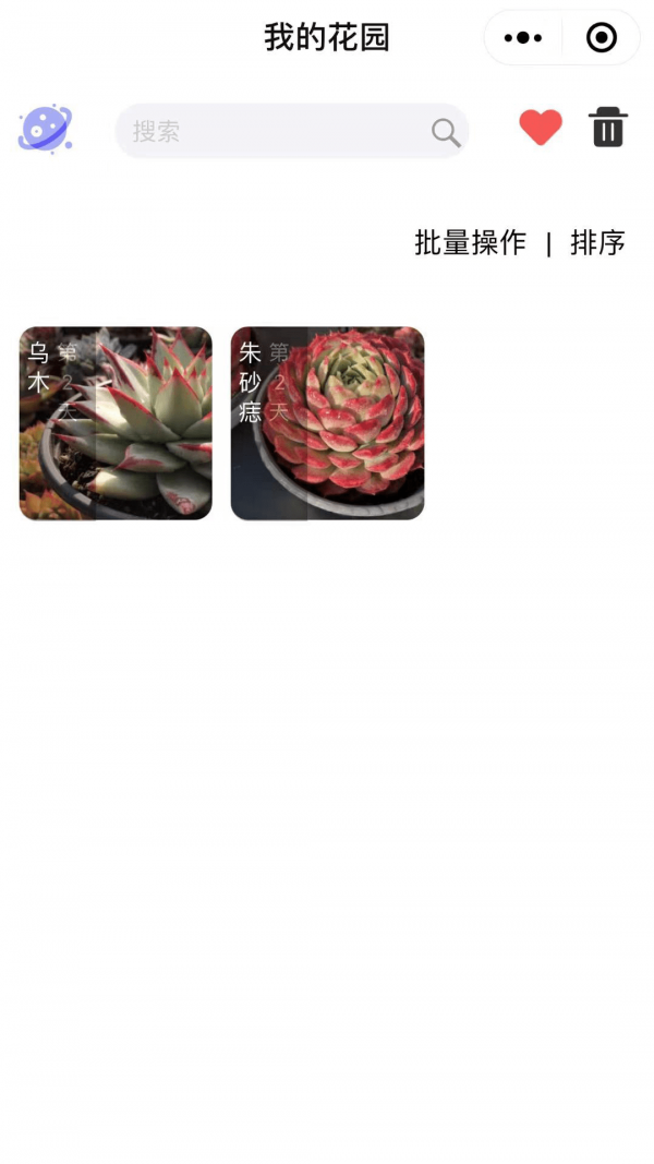 多肉圈最新版